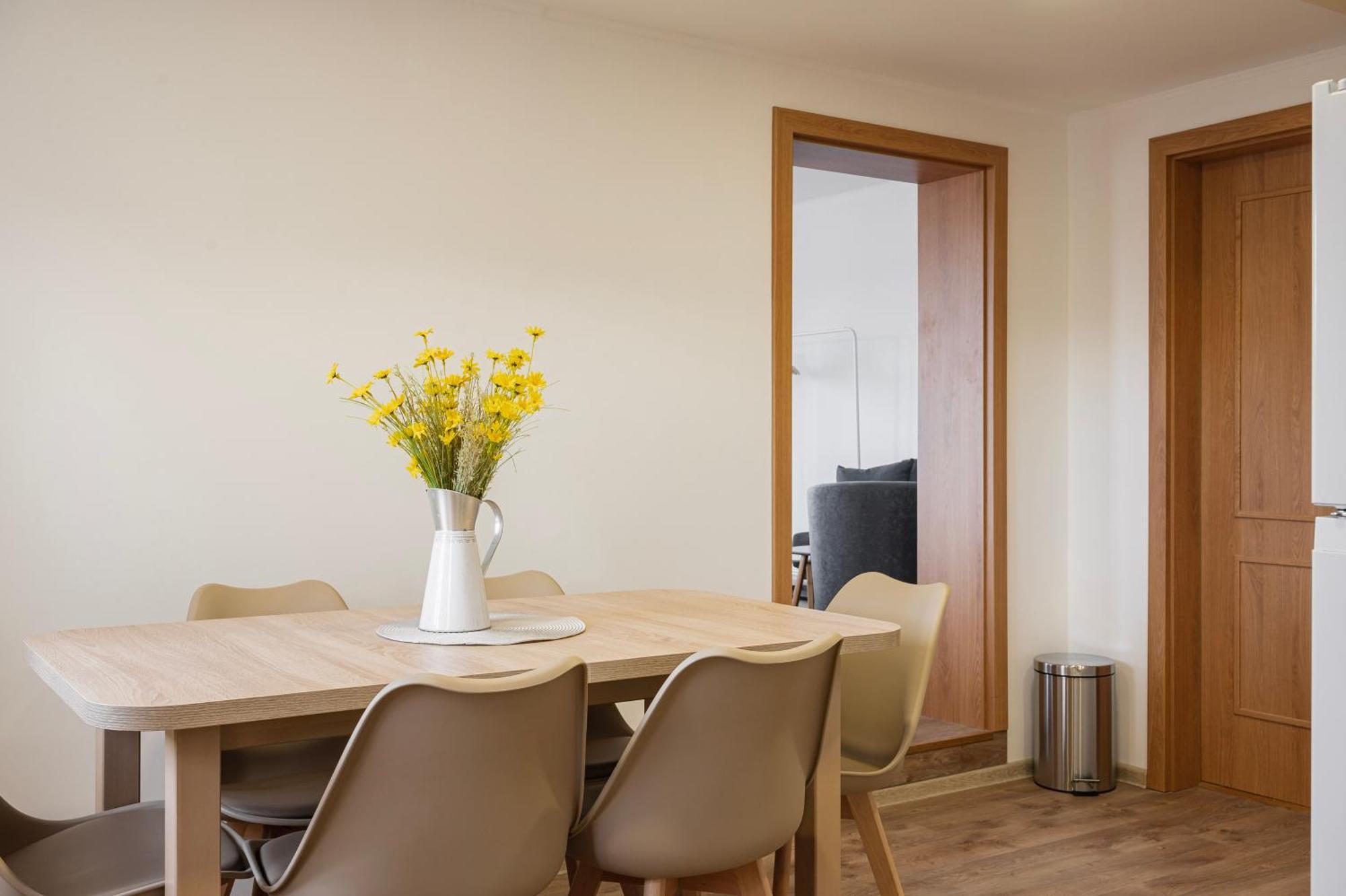 U Novotnych Apartamento