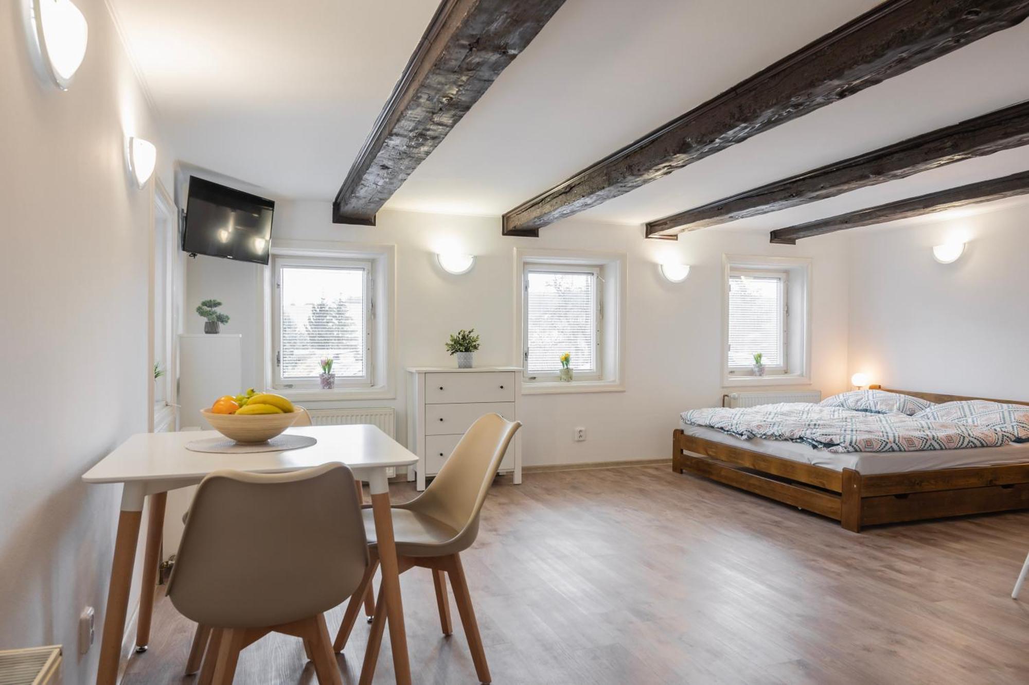 U Novotnych Apartamento *